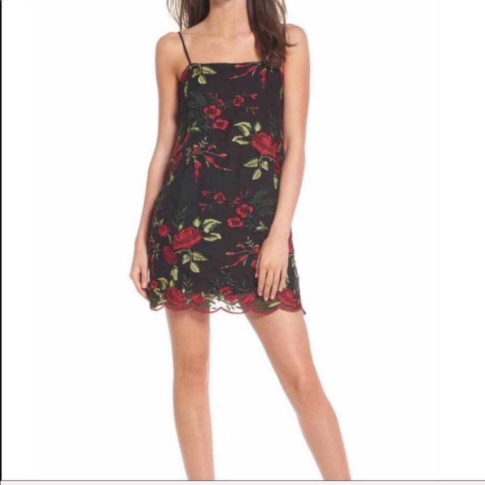 Show Me Your Mumu Embroidered Slip Mini Dress
